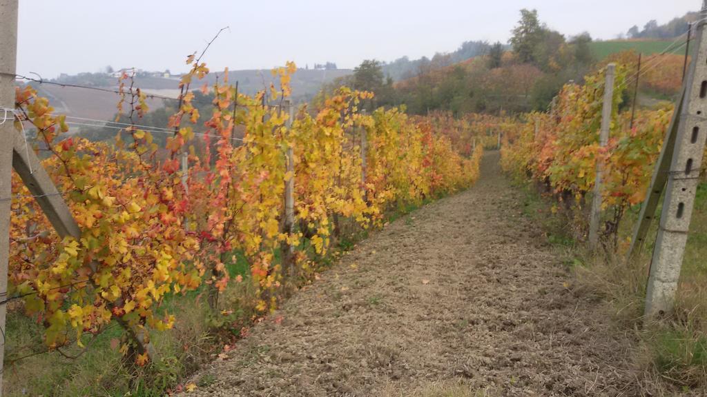 Cascina Torello Дольяни Экстерьер фото