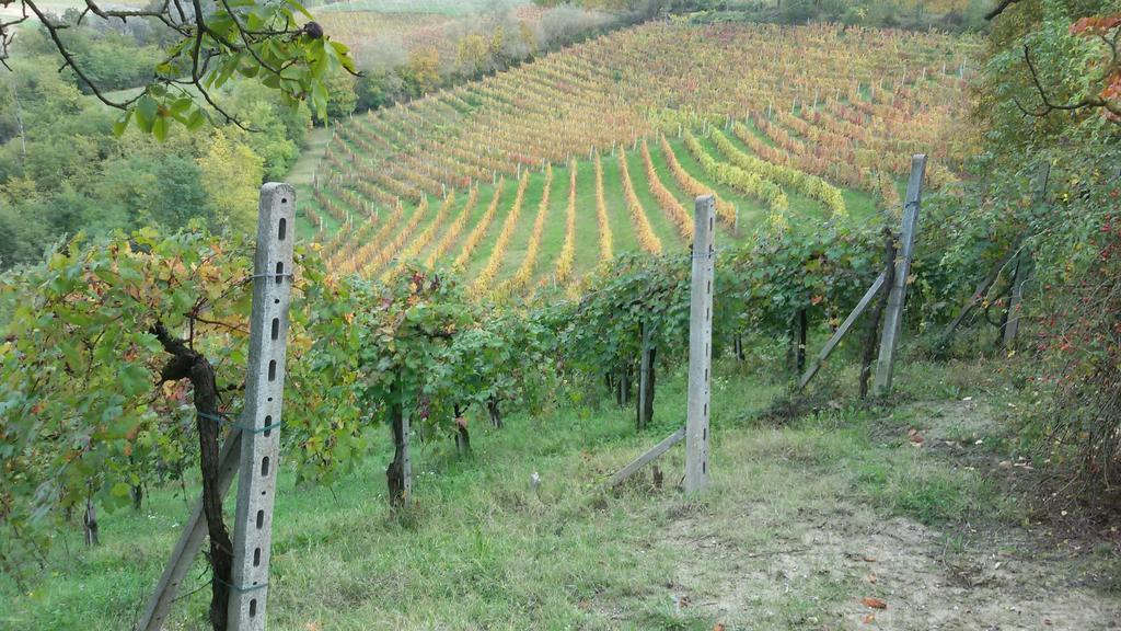 Cascina Torello Дольяни Экстерьер фото