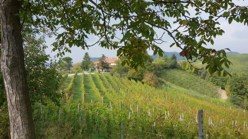 Cascina Torello Дольяни Экстерьер фото