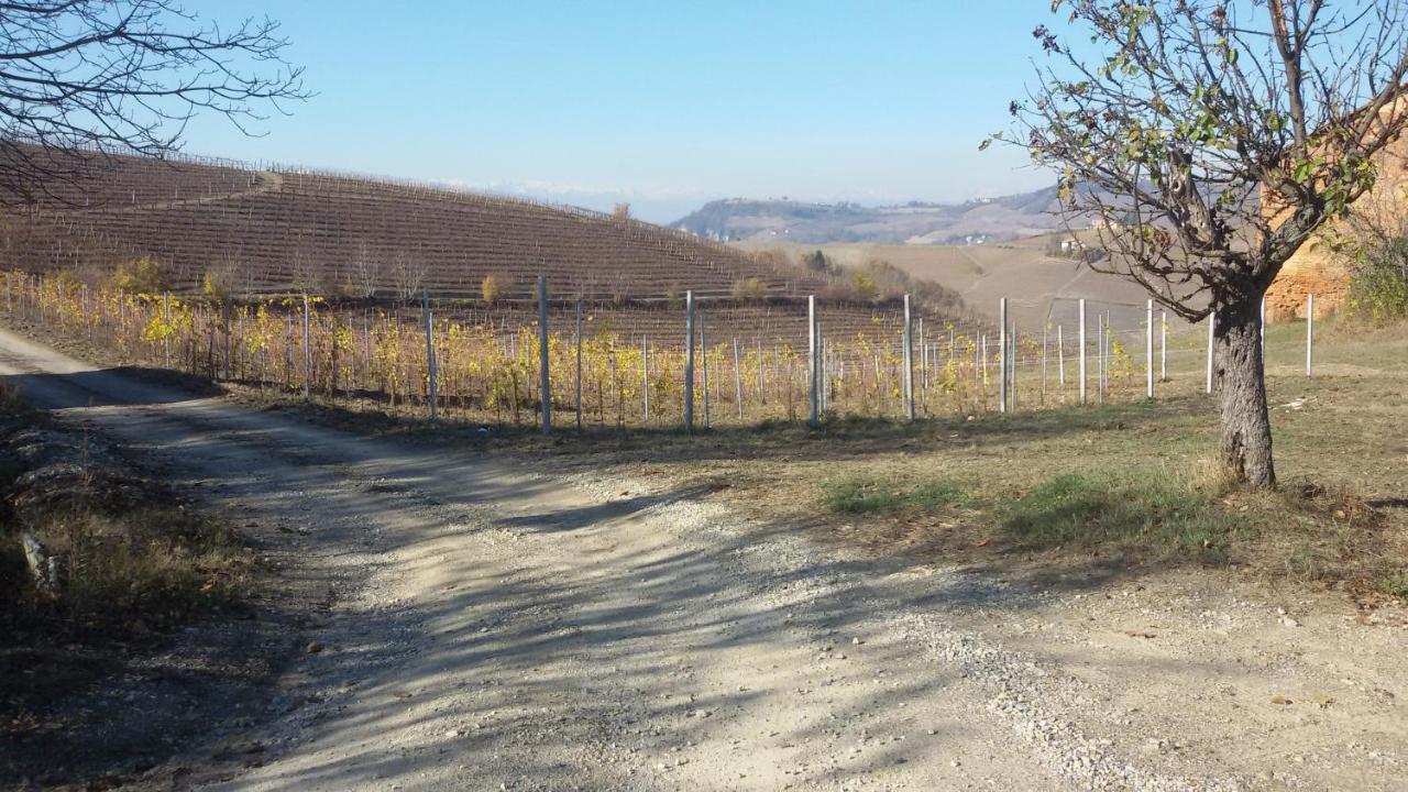 Cascina Torello Дольяни Экстерьер фото